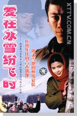 愛(ài)在冰雪紛飛時(shí) 第12集