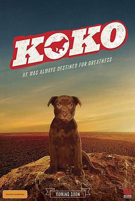 Koko紅犬歷險記(大結局)