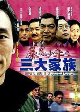 暴風(fēng)少年之三大家族(大結局)