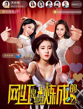 網(wǎng)紅是怎樣煉成的(大結局)
