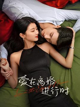 愛(ài)在離婚進(jìn)行時(shí) 第12集