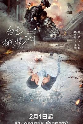 白色橄欖樹(shù) 第01集