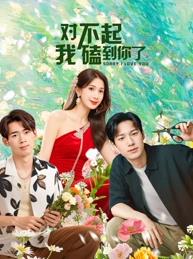 對不起，我磕到你了(全集)