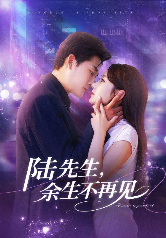 陸先生，余生不再見(jiàn)(全集)