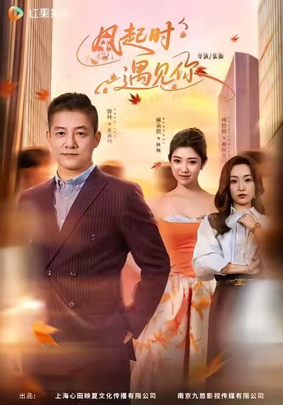 風起時遇見你(全集)