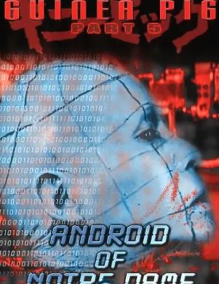 豚鼠系列之6：圣母機(jī)器人