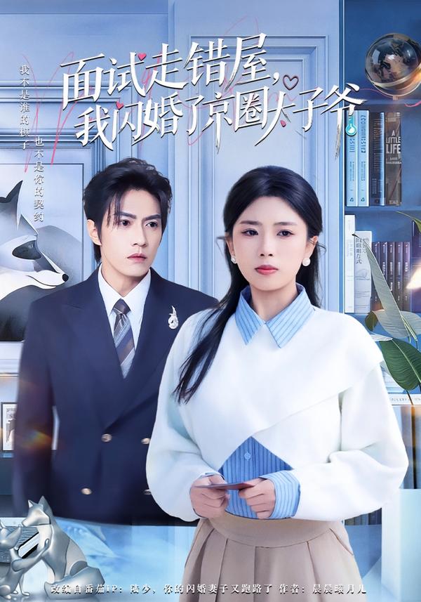 面試走錯(cuò)屋，我閃婚了京圈太子爺(全集)