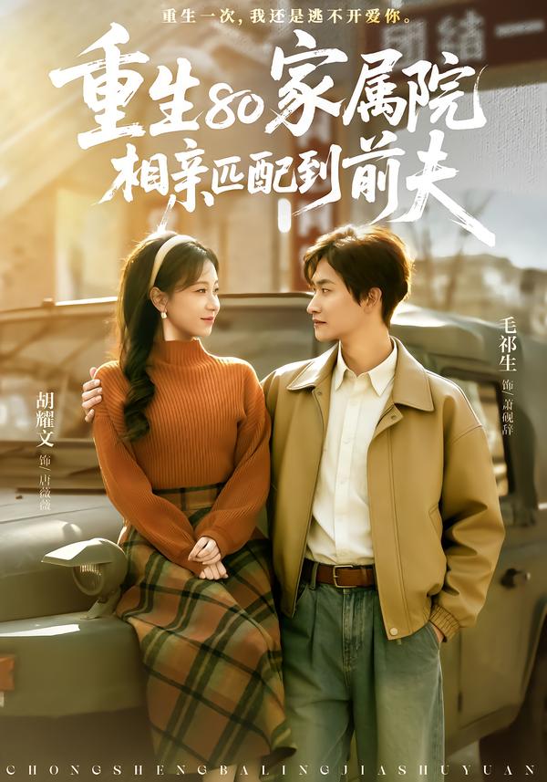 重生80家屬院，相親匹配到前夫(全集)