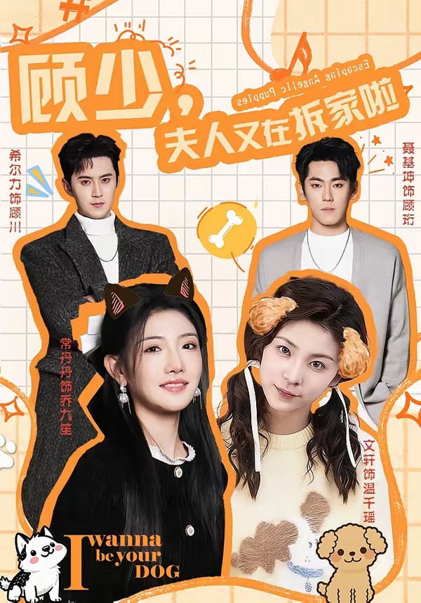 顧少，夫人又在拆家啦(全集)