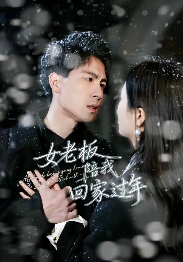 女老板陪我回家過年(全集)