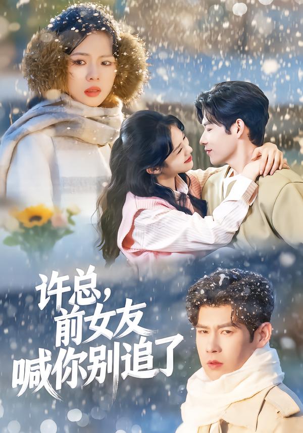 許總，前女友喊你別追了(全集)