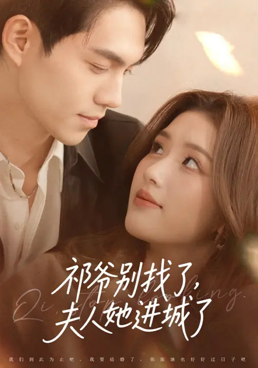 祁爺別找了，夫人她進(jìn)城了(全集)