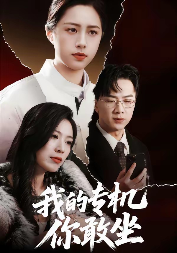 我的專機(jī)你敢坐(全集)