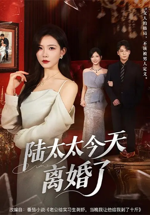 陸太太今天離婚了(全集)