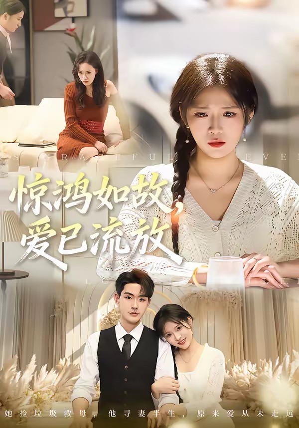 驚鴻如故，愛已流放(全集)