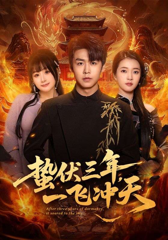 蟄伏三年，一飛沖天(全集)