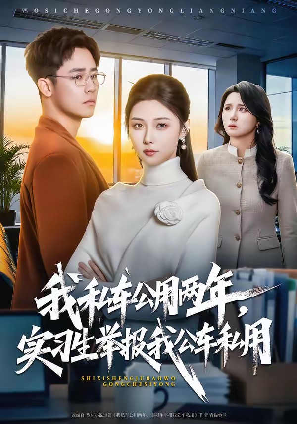 我私車公用兩年，實習生舉報我公車私用(全集)