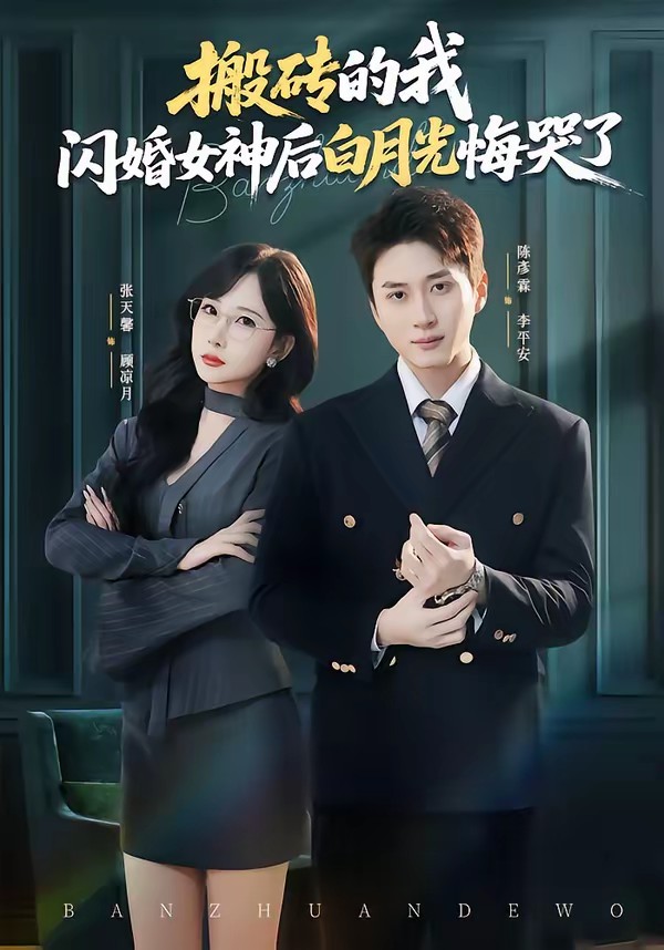 搬磚的我，閃婚女神后白月光悔哭了(全集)