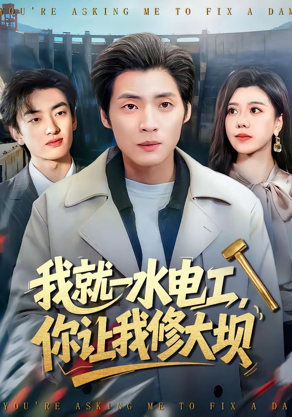 我就一水電工，你讓我修大壩(全集)